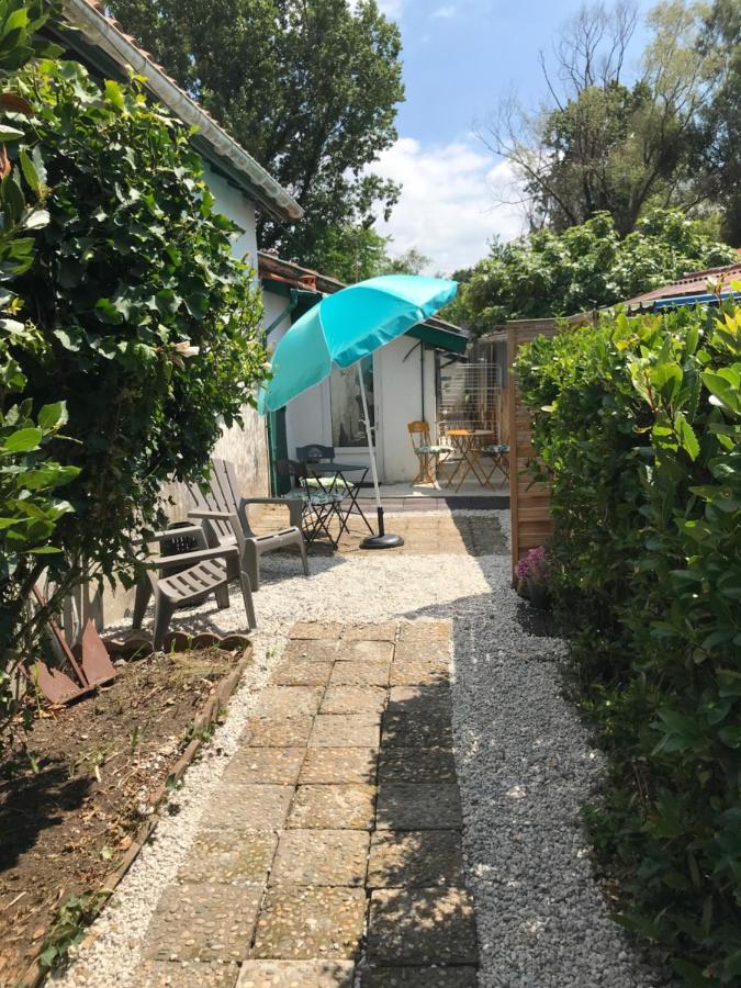 Appartement Entre Ocean Et Montagne 15Bis Avenue De Montbrun Anglet Exterior foto